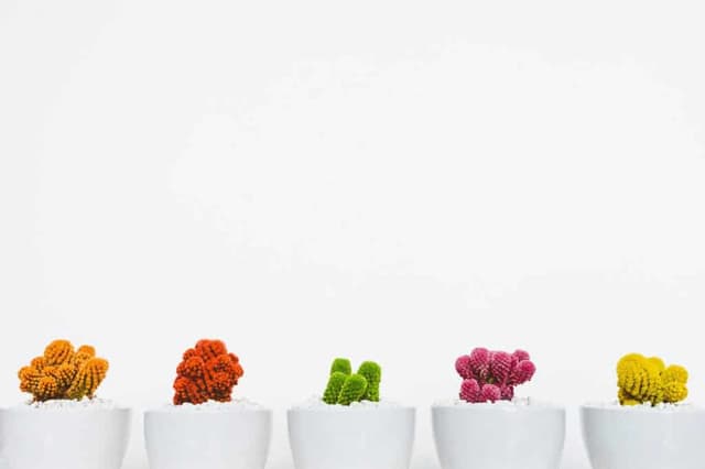 website design importance